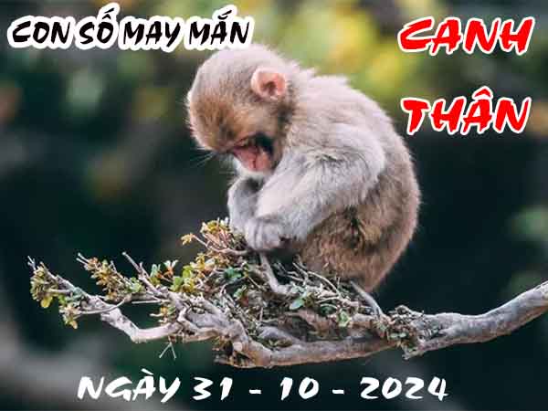 Phân tích cặp số đẹp tuổi Canh Thân ngày 31/10/2024 thứ 5 hôm nay